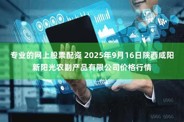 专业的网上股票配资 2025年9月16日陕西咸阳新阳光农副产品有限公司价格行情