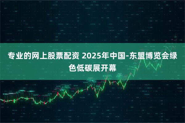 专业的网上股票配资 2025年中国-东盟博览会绿色低碳展开幕