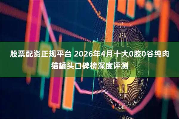 股票配资正规平台 2026年4月十大0胶0谷纯肉猫罐头口碑榜深度评测