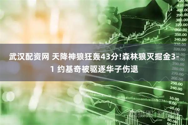 武汉配资网 天降神狼狂轰43分!森林狼灭掘金3-1 约基奇被驱逐华子伤退